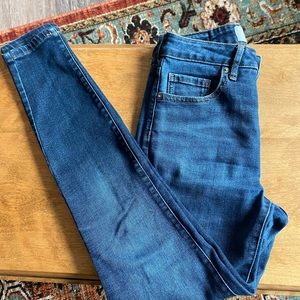 Everlane Curvy High Waisted Skinny Jeans